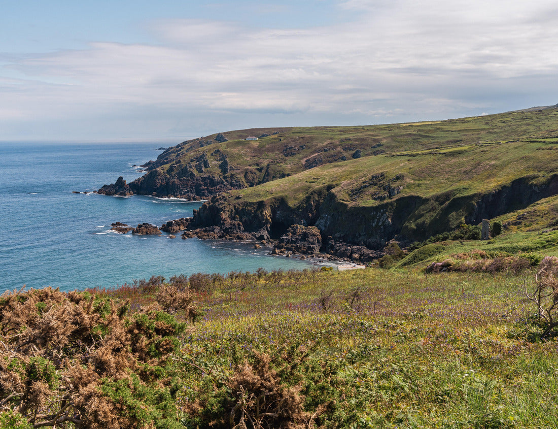 Noah Jigsaw Puzzle Coast and cliffs of the Celtic Sea at Treen, Cornwall, England, United Kingdom 1000 pieces