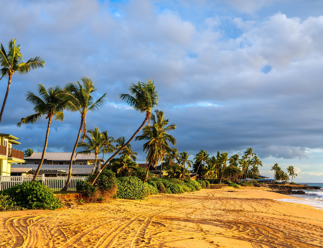 Noah Jigsaw Puzzle Makaha Beach Park in West Oahu Island, Hawaii, United States 1000 pieces