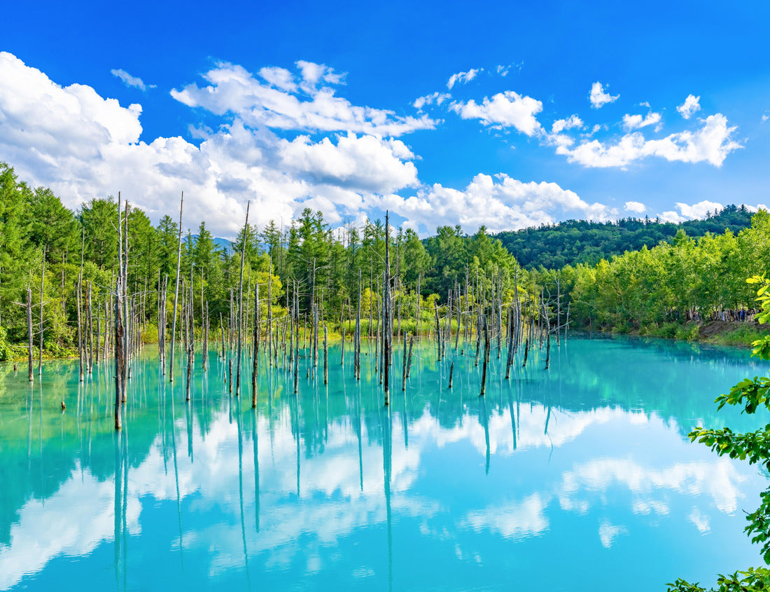 Noah Jigsaw Puzzle Blue Pond at Shirokane, Biei-cho, Hokkaido (summer season) 1000 pieces