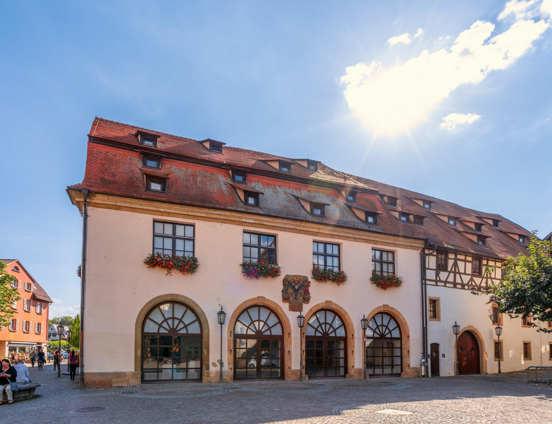 Noah Jigsaw Puzzle Historic town of Rottenburg am Neckar, Germany 1000 pieces