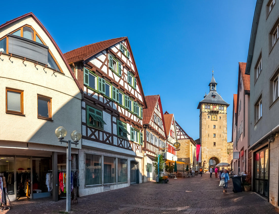 Old town of Marbach am Neckar, Germany 1000pc Puzzle