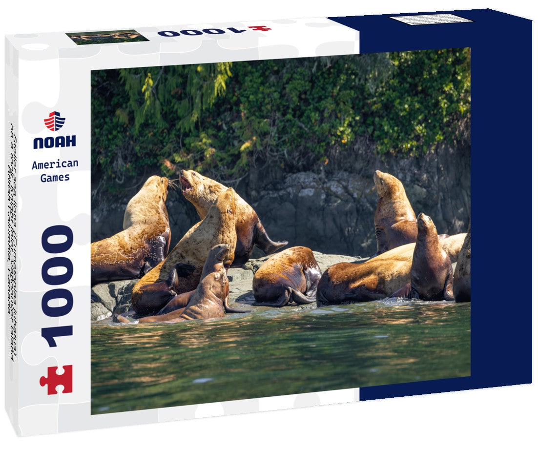 Steller sea lions (Eumetopias jubatus) on a rock, Knight Inlet, Vancouver Island, British Columbia, Canada 1000pc Puzzle