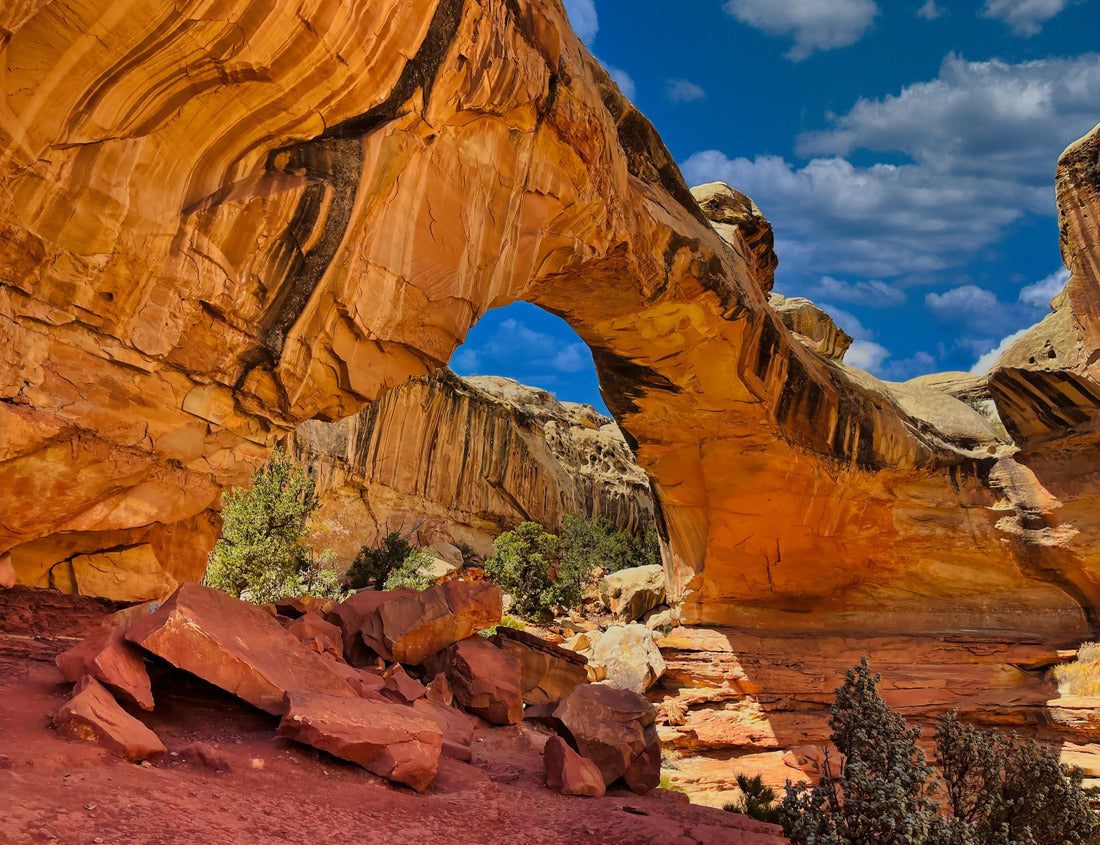 Spring at the Hickman Arch in Capitol Reef National Park in Utah 1000pc Puzzle