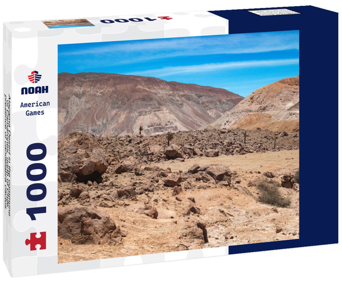 Noah Jigsaw Puzzle Atacama Desert in the commune of Camarones, north of Chile, presence of candelabra cactus 1000 pieces