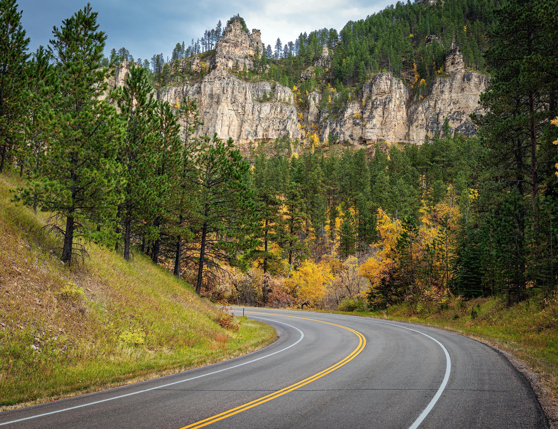 Noah Jigsaw Puzzle Black Hills South Dakota winding asphalt road through autumn foliage 1000 pieces