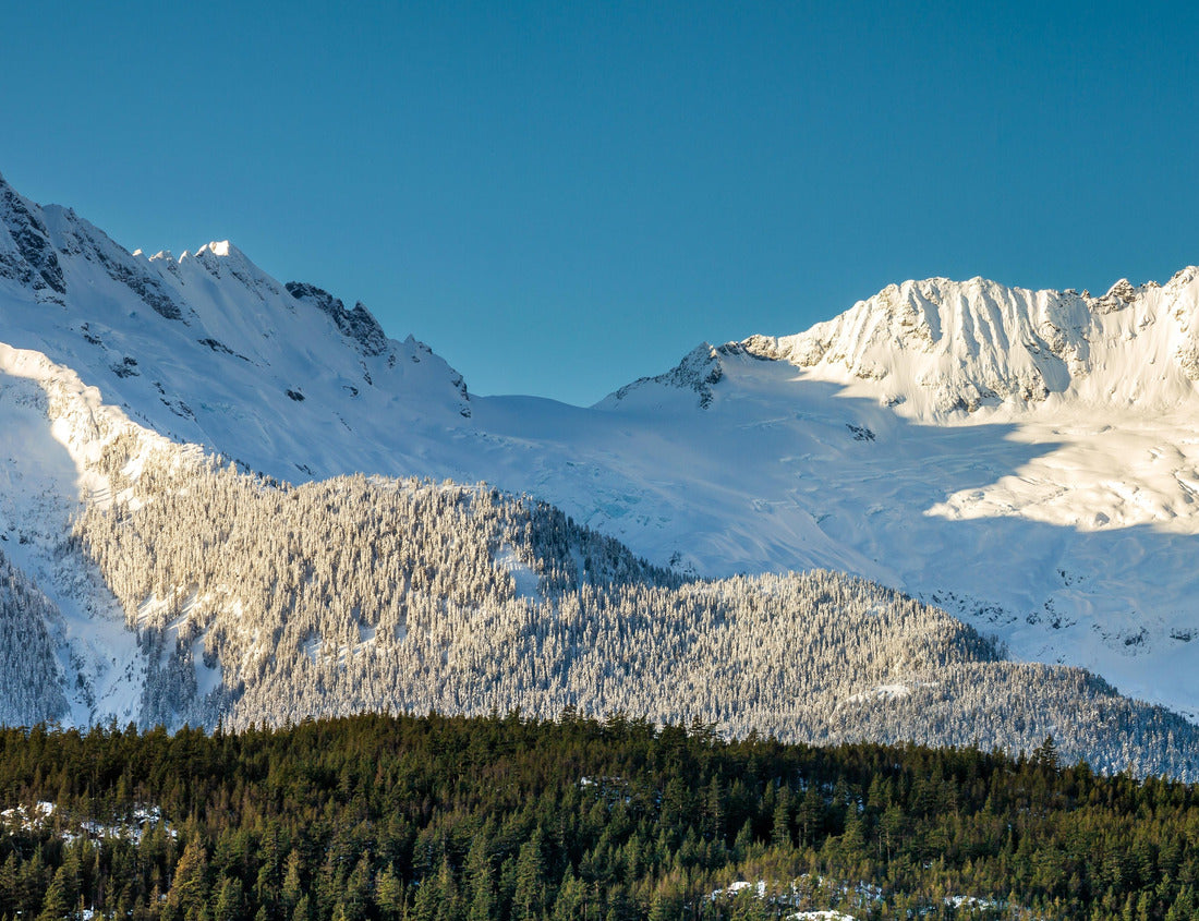the snow-covered Tantalus Mountains by the sea to the sky highway 1000pc Puzzle
