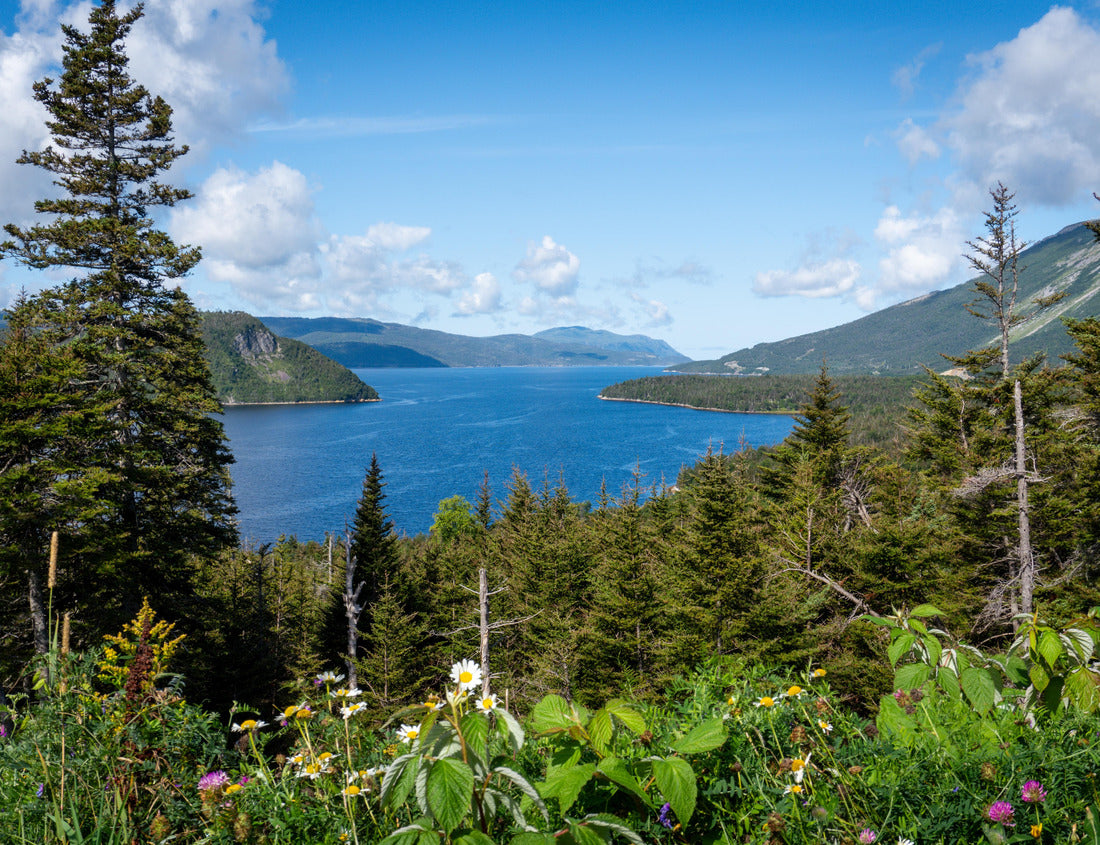 Noah Jigsaw Puzzle Gros Morne National Park, Canadian national park and world heritage site in Newfoundland. Fjord Inner Bonne Bay East Arm and Gros Morne Mountain 1000 pieces