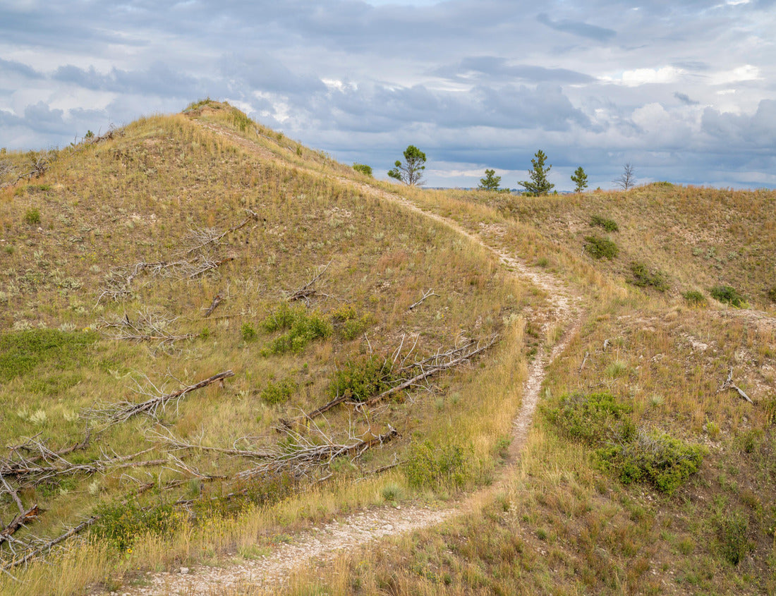 Noah Jigsaw Puzzle hiking trail in late summer scenery of a Nebraska National Forest near Chadron 1000 pieces