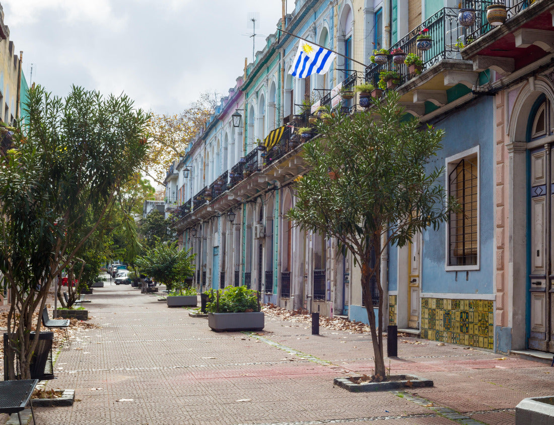 Noah Jigsaw Puzzle Jewish neighborhood in Montevideo, Uruguay 1000 pieces