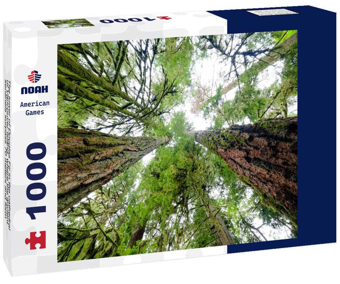 The tower of Douglas Fir in the cathedral of Vancouver Island, where the ancient sentinels surpass 70 meters and form a majestic forest-cathedral 1000pc Puzzle