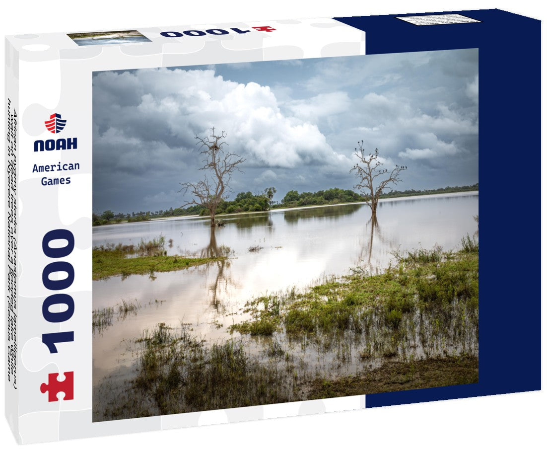 Noah Jigsaw Puzzle African pygmy storks (Anastomus lamelligerus) wait on dead trees over a flooded lake while hunting in Nyerere National Park (Selous Game Reserve) in southern Tanzania 1000 pieces