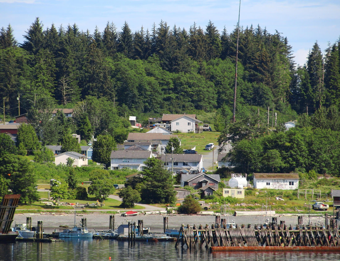 Noah Jigsaw Puzzle View of the coast at Alert Bay, British Columbia, Canada 1000 pieces