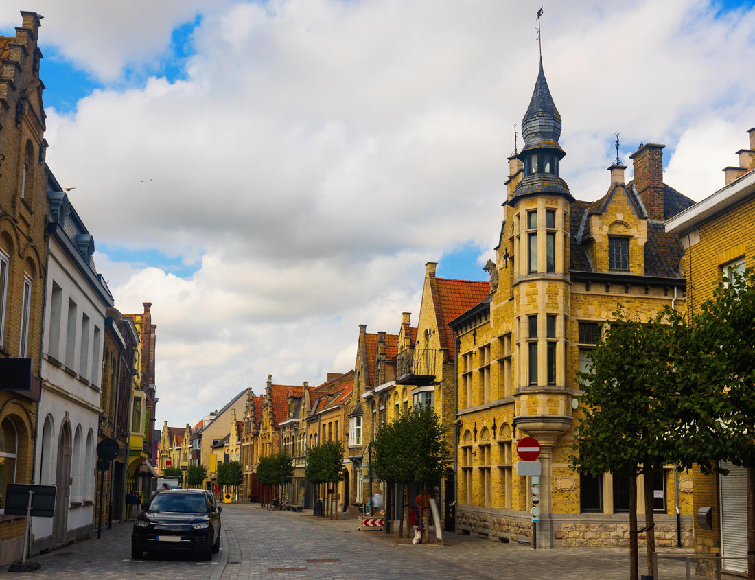 typical Flemish architecture houses on the summer street of the old Belgian town Diksmuide 1000pc Puzzle