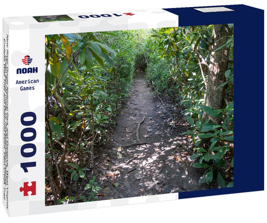 Noah Jigsaw Puzzle New River Gorge National Park and Preserve, West Virginia. Green tunnel made by rhododendron bushes. Endless Wall Trail and Diamond Point, Fern Creek Trail 1000 pieces