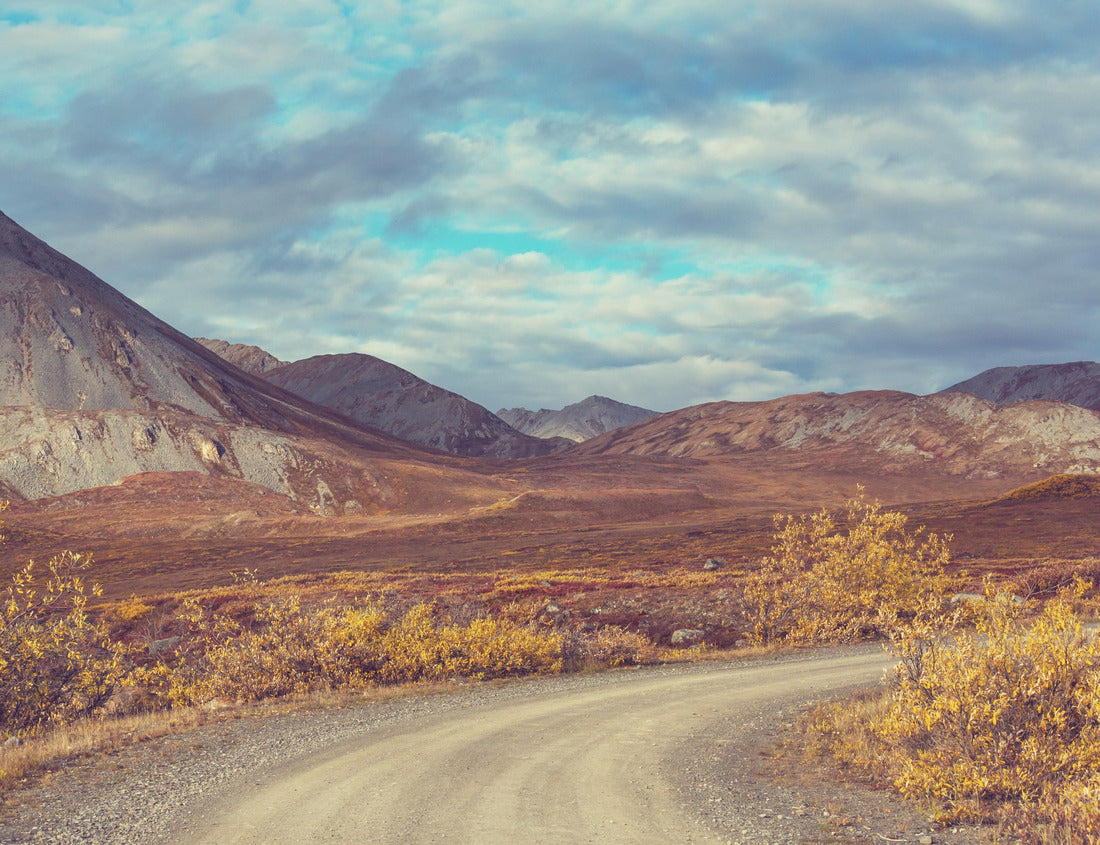 Noah Jigsaw Puzzle Endless Dempster Highway near the Arctic Circle, remote gravel road that runs from Dawson City to Inuvik, Canada 1000 pieces