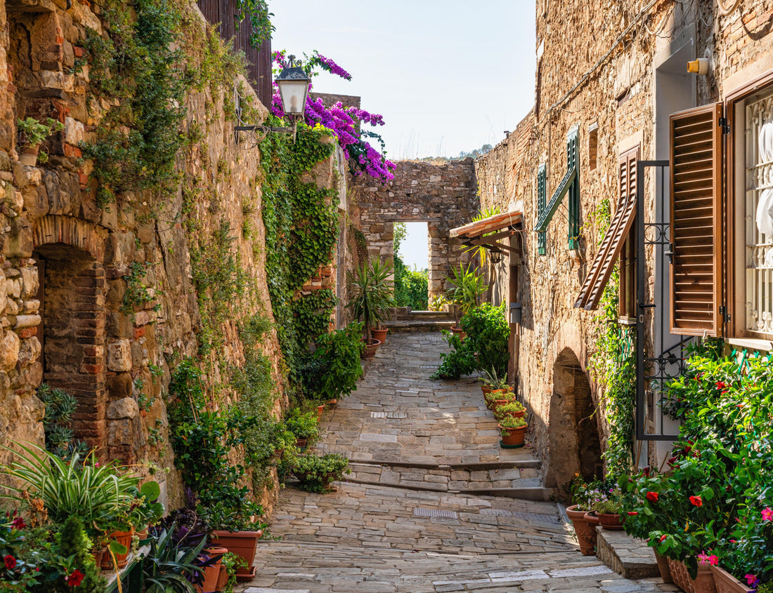Scenic view in the village of Campiglia Marittima, on a sunny summer afternoon. In the province of Livorno, in the Tuscany region of Italy 1000pc Puzzle