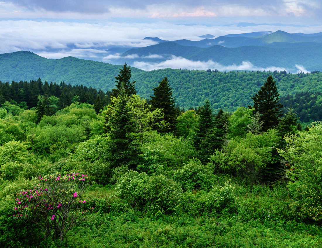 Scenic view of the Smokie Mountains from Blue Ridge Parkway near Maggie Valley, North Carolina 1000pc Puzzle