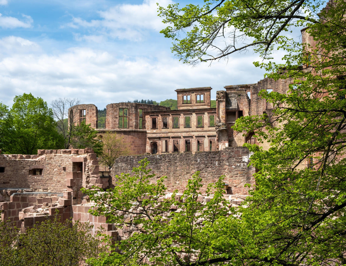 Noah Jigsaw Puzzle Heidelberg Castle, Heidelberg Palace, castle in Baden-Württemberg Germany. Ancient medieval ruins, popular tourist site, nature, cloudy sky 1000 pieces