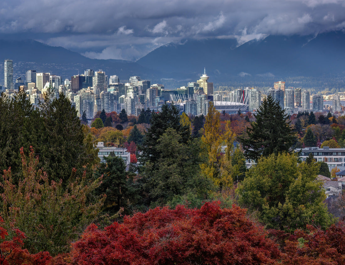 Noah Jigsaw Puzzle City view of Vancouver from Queen Elizabeth Park in the fall 1000 pieces