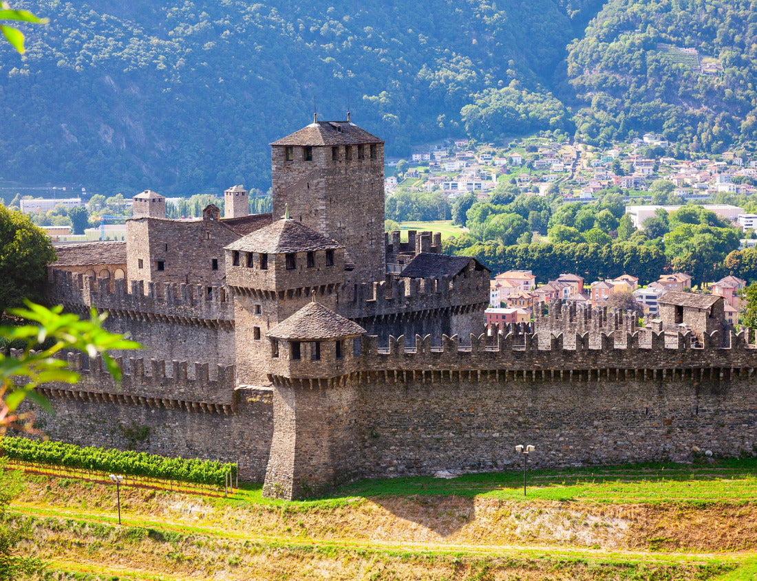 Noah Jigsaw Puzzle Medieval castle of Montebello on a sunny summer's day. Bellinzona, Switzerland 1000 pieces
