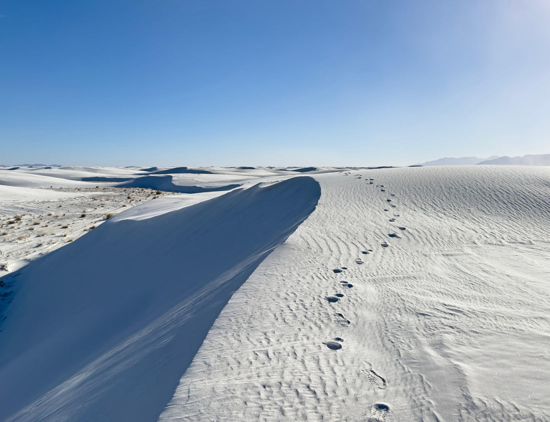 Noah Jigsaw Puzzle Foot steps along a cliffside in White Sands National Park. Solo traveler path in the desert of New Mexico 1000 pieces