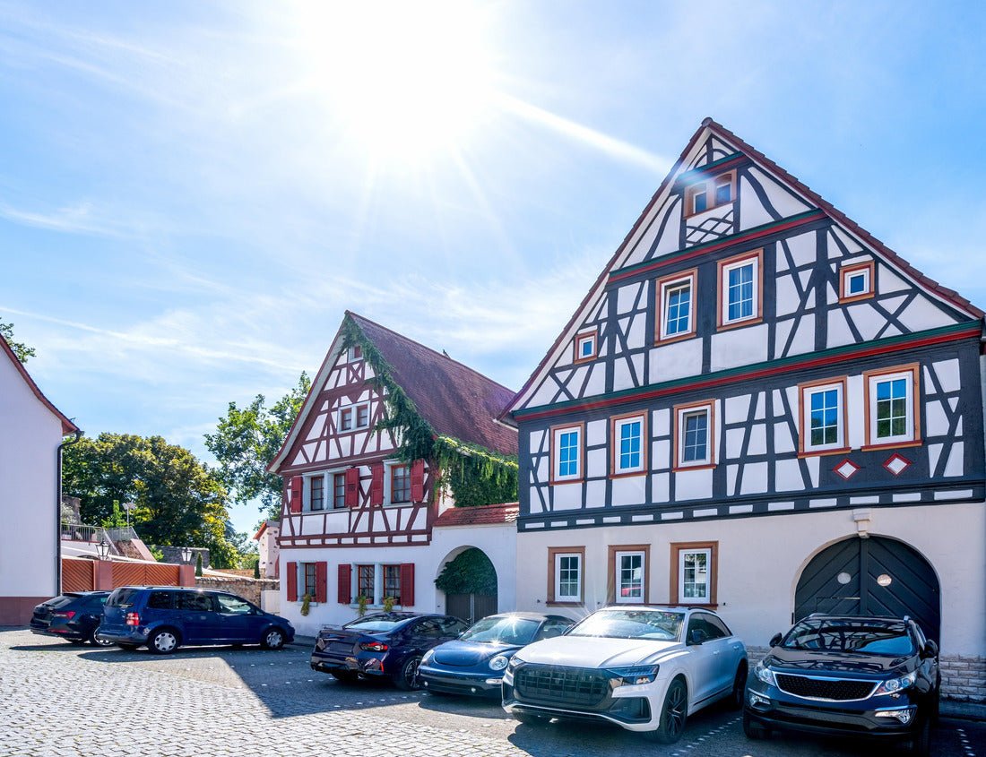 Noah Jigsaw Puzzle Historical city of Zwingenberg, Hessen, Germany 1000 pieces