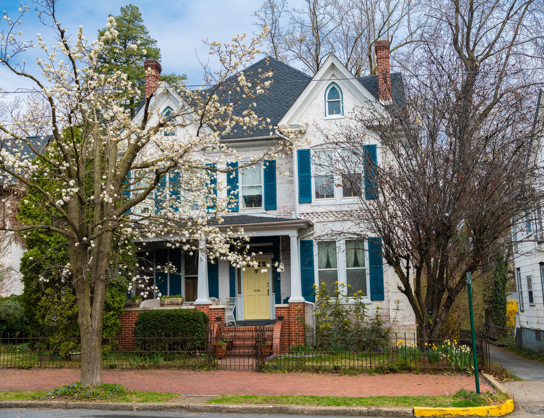Noah Jigsaw Puzzle street in the historic town of Martinsburg, West Virginia. Ancient architecture of small multi-colored buildings in the colonial style 1000 pieces