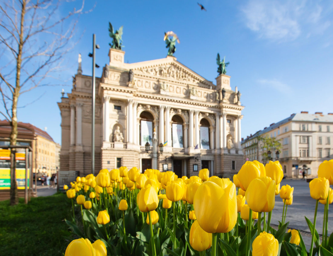 Noah Jigsaw Puzzle Lviv, Ukraine: Flowerbed with yellow tulips in front of Lviv National Opera 1000 pieces