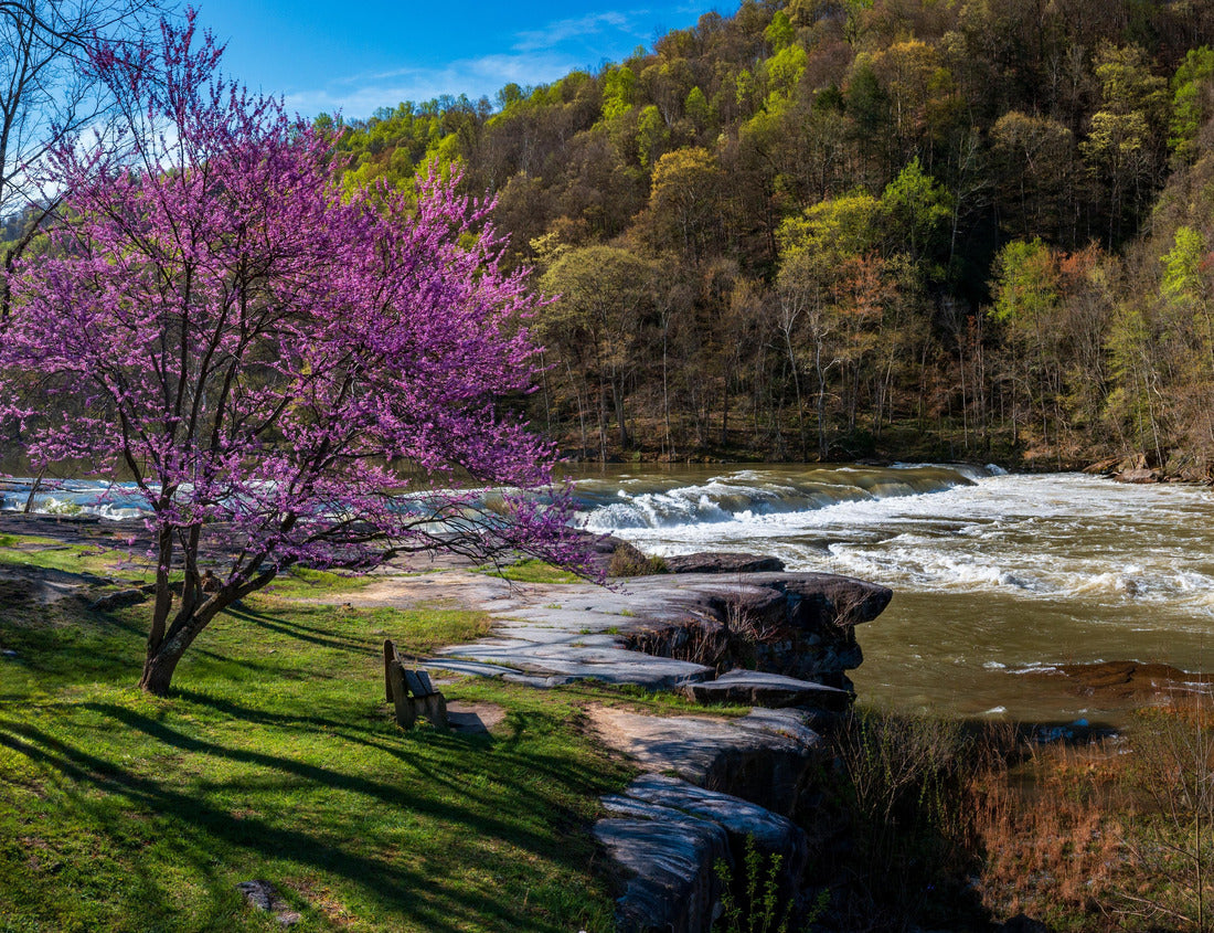 Noah Jigsaw Puzzle Valley Falls State Park near Fairmont in West Virginia on a colorful and bright spring day with redbud blossoms on the trees 1000 pieces