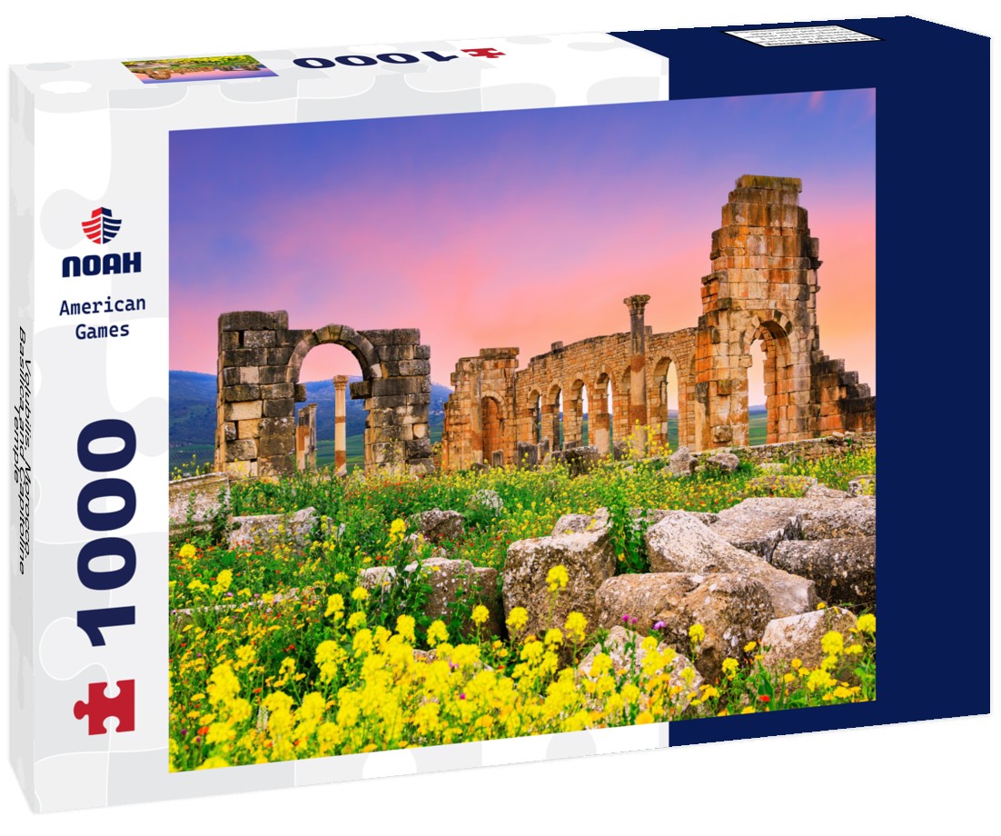 Volubilis, Morocco. Basilica and Capitoline Temple 1000pc Puzzle