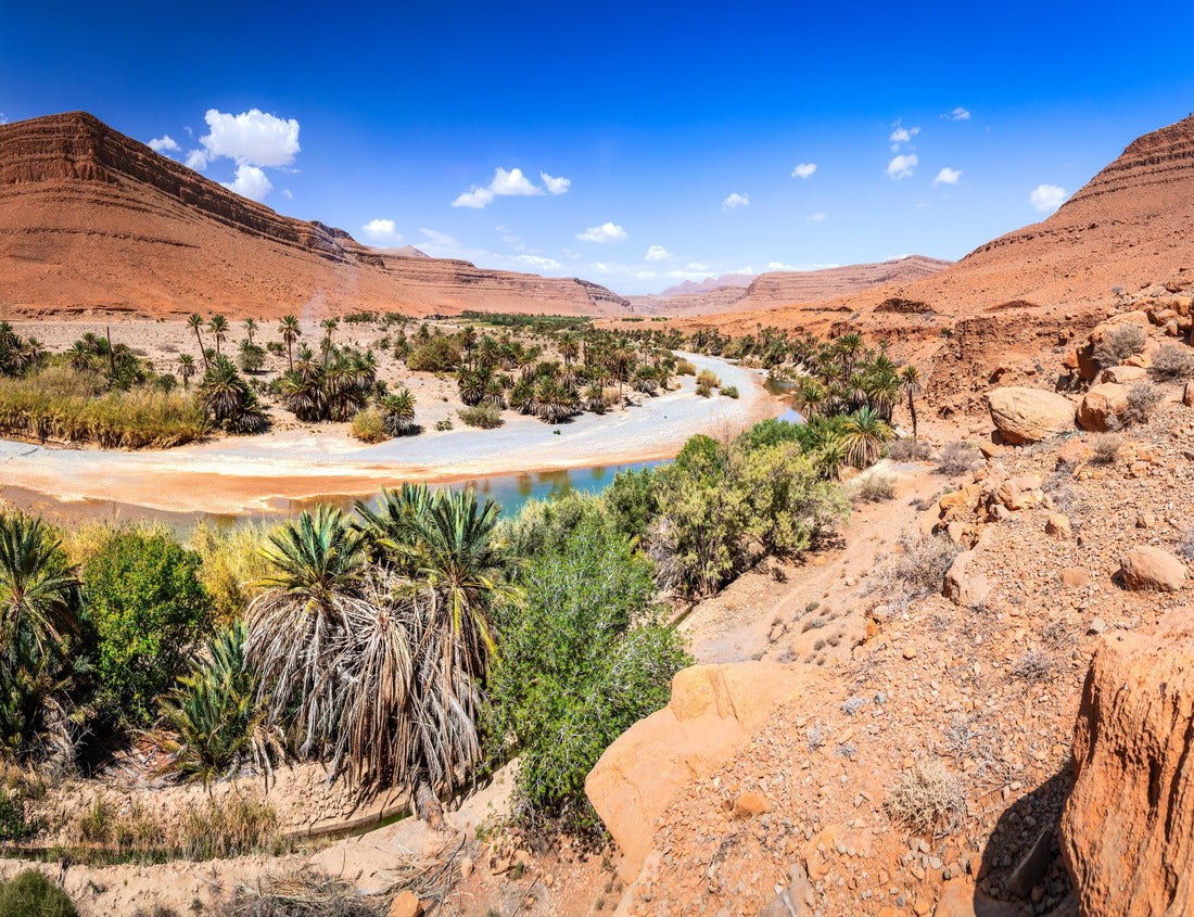 Noah Jigsaw Puzzle Ziz Valley, Morocco. Beautiful oasis landscape with palm trees in High Atlas mountains, North Africa 1000 pieces