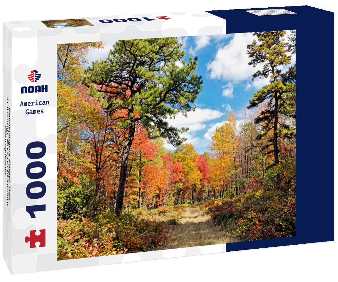 Pennsylvania Forest Trail in Autumn, Pocono Mountains, Pennsylvania 1000pc Puzzle