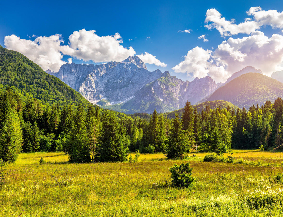 Valley in the Triglav National Park, Julian Alps, Slovenia. Julian Alps mountains, Slovenia, Europe 1000pc Puzzle