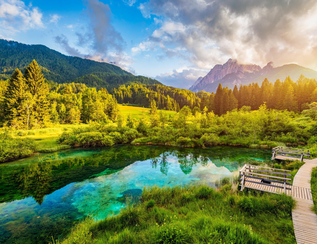 Noah Jigsaw Puzzle Wonderful view of Zelenci nature reserve in Slovenia. Nature reserve Zelenci, Krajnska Gora, Slovenia, Europe. Lake and forest in Zelenci Springs, Kranjska Gora, Upper Carniola, Slovenia 1000 pieces