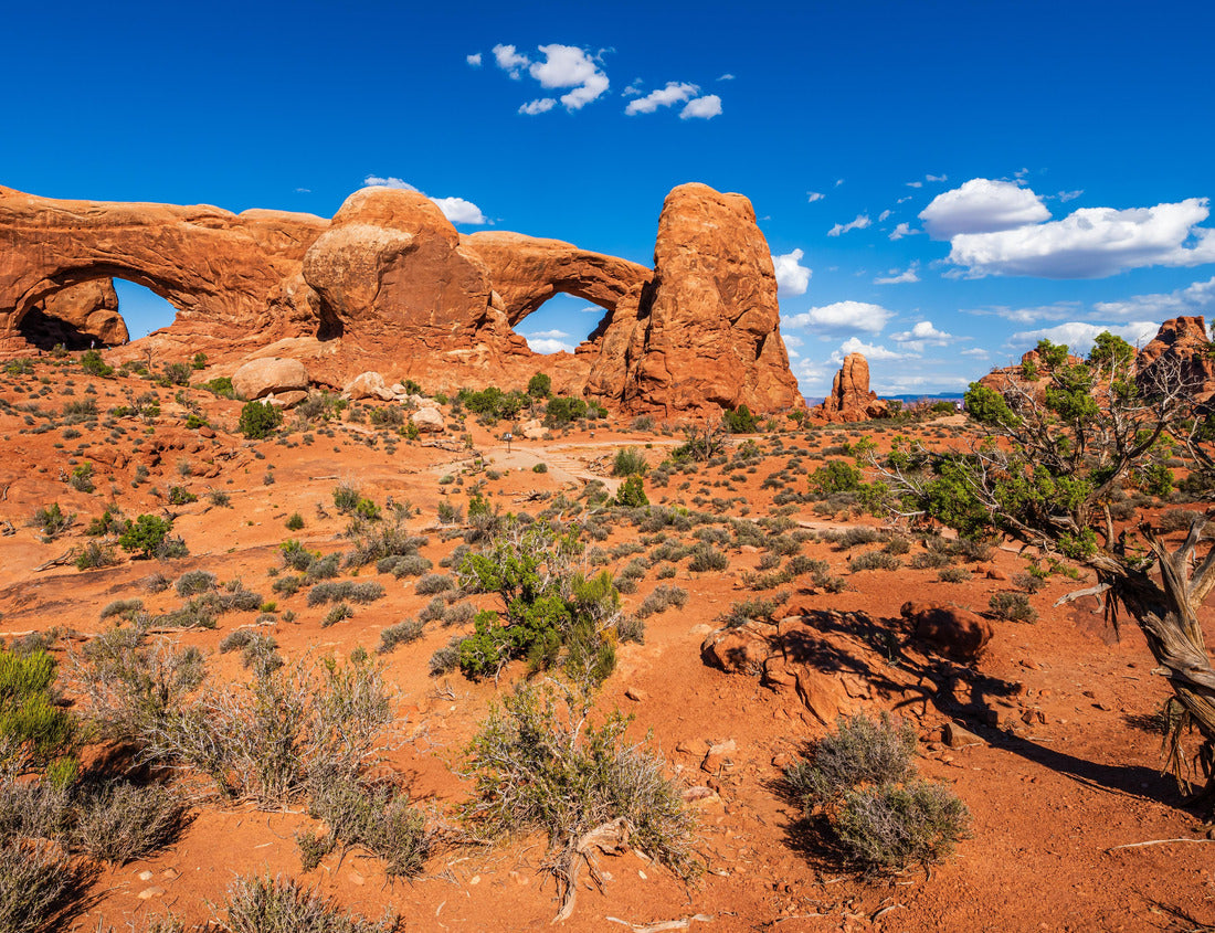 The North South section of the Arches National park near Moab, Utah USA 1000pc Puzzle