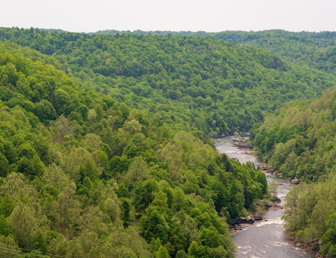 Overlook of the River at Gauley River National Recreation Area Popular Hiking and Canoeing area in Victor, Fayette County, West Virginia, USA 1000pc Puzzle