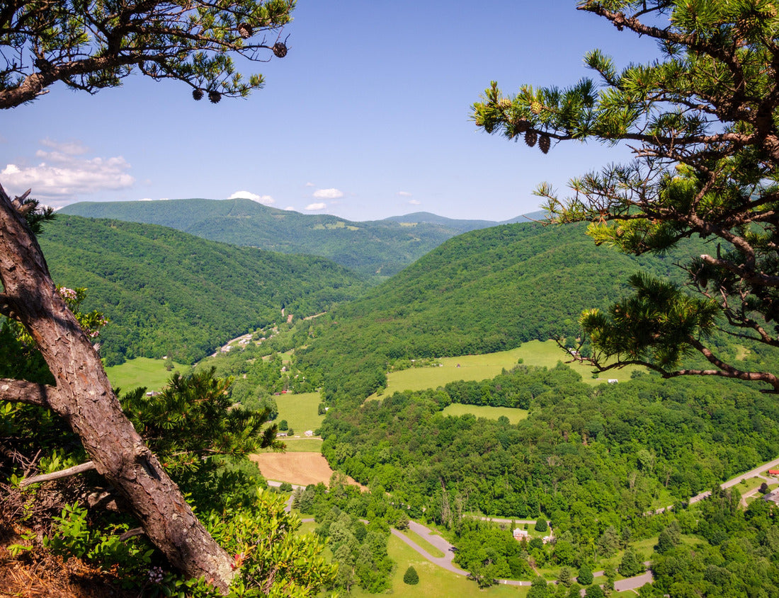 The Spruce Knob-Seneca Rocks National Recreation Area, Park in Riverton, West Virginia, USA 1000pc Puzzle
