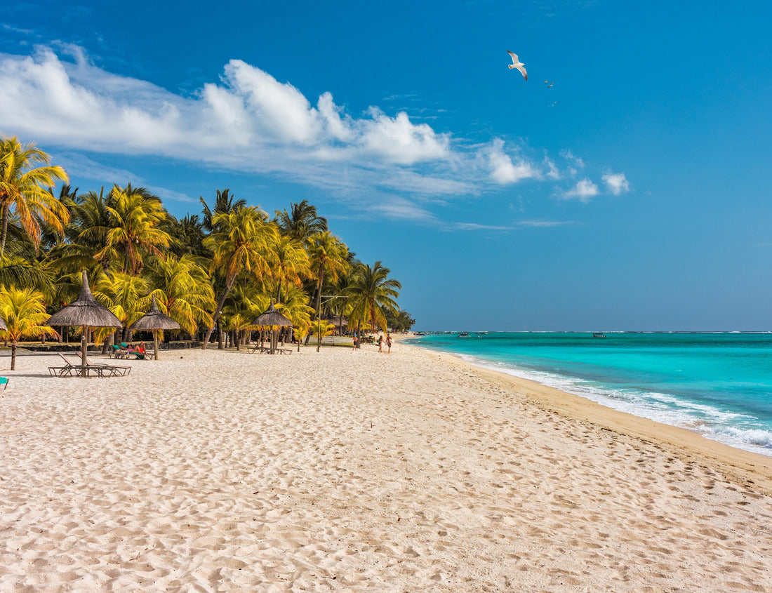 Paradise beach resort with palm trees and and tropical sea in Mauritius island. Summer vacation and tropical beach concept. Sandy beach with Le Morne beach on Mauritius island 1000pc Puzzle