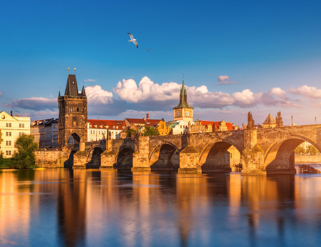 Noah Jigsaw Puzzle Charles Bridge in Prague in Czechia. Prague, Czech Republic. Charles Bridge (Karluv Most) and Old Town Tower. Vltava River and Charles Bridge 1000 pieces