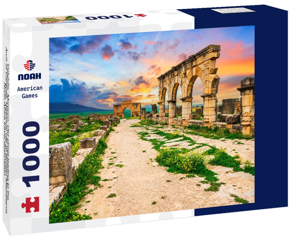 Volubilis, Morocco: Old street leading to the Arch of Caracall. Historical city of Roman Mauretania, North Africa travel destination 1000pc Puzzle