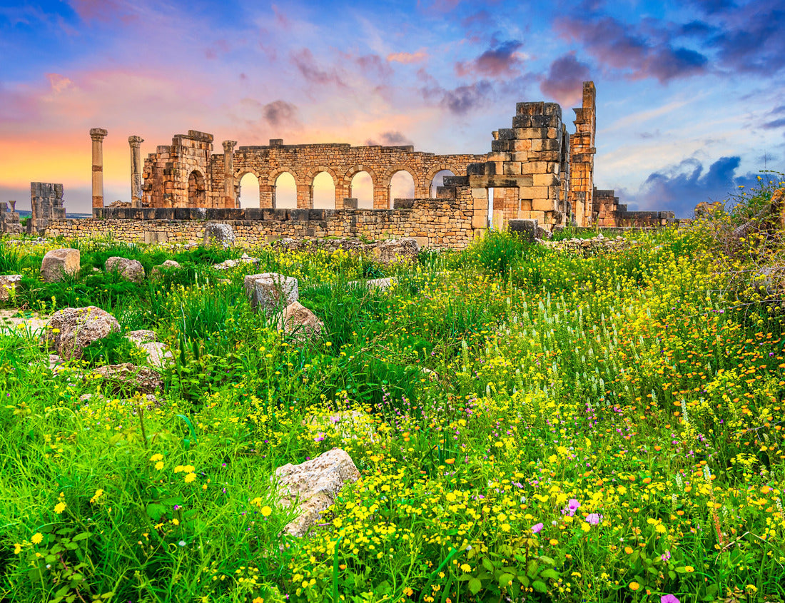 Volubilis, Morocco: The outer wall of the basilica, with Corinthian columns at sunset. Historical city of Roman Mauretania, North Africa 1000pc Puzzle