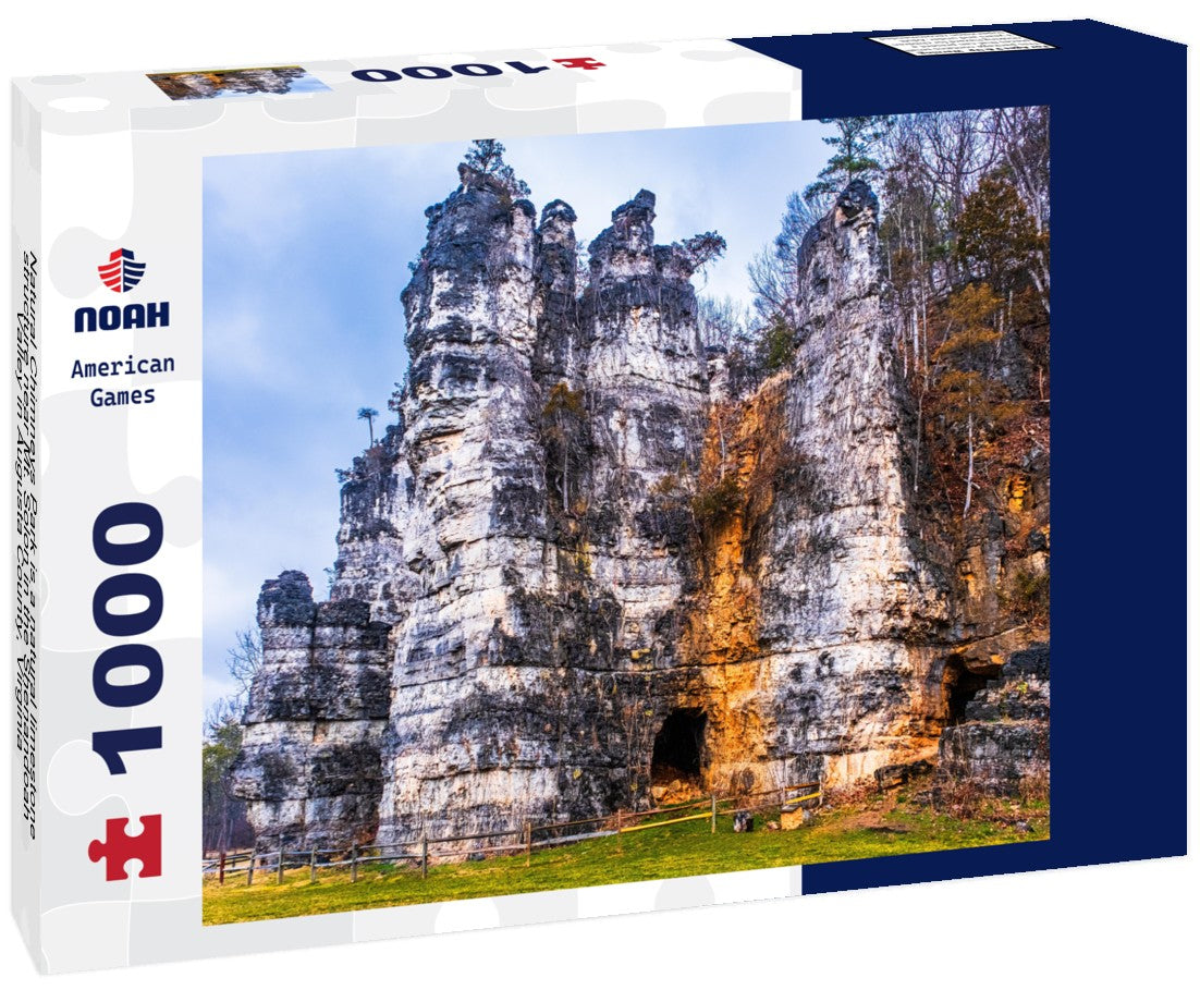 Noah Jigsaw Puzzle Natural Chimneys Park is a natural limestone structure near Mt. Solon in the Shenandoah Valley in Augusta County, Virginia 1000 pieces