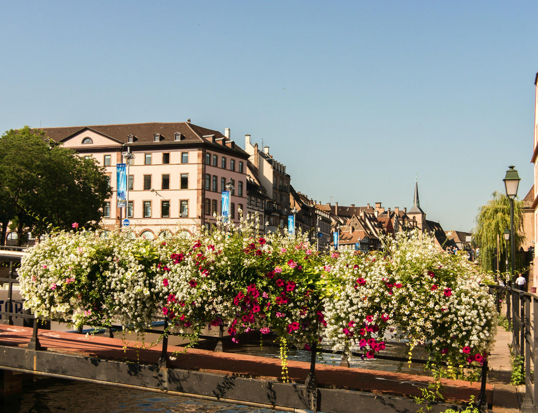 Noah Jigsaw Puzzle France, Alsace, Strasbourg, panoramic view of the city 1000 pieces