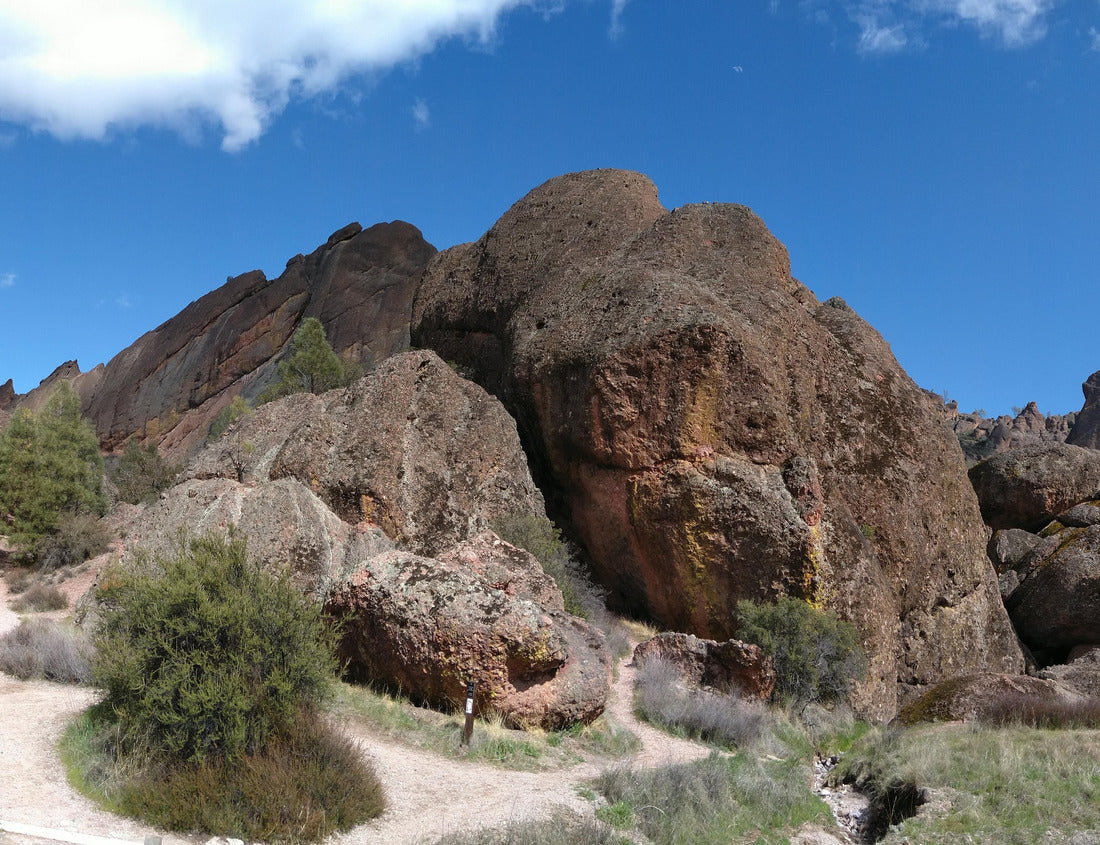 Pinnacles National Park, mid-day sunlight, early Spring, California 1000pc Puzzle
