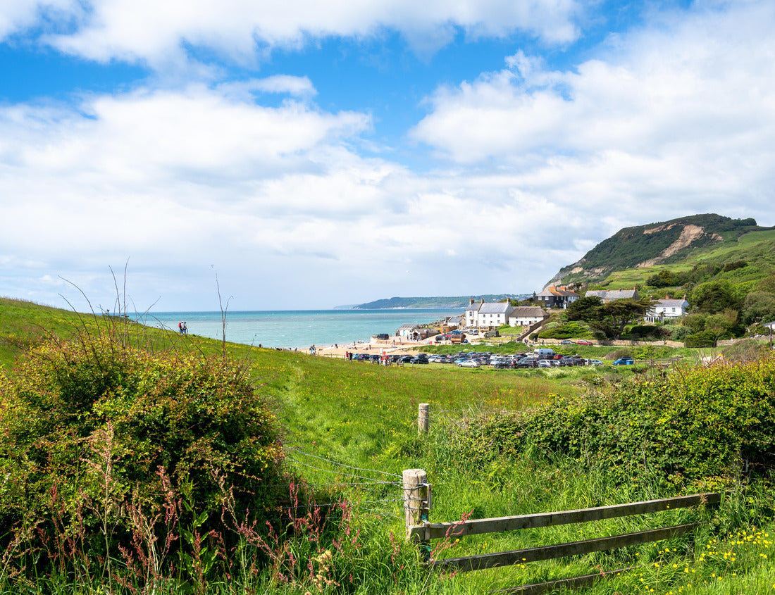 Noah Jigsaw Puzzle View of Seatown beach and Golden Cap on the Jurassic Coast by the English Channel, Dorset, England 1000 pieces
