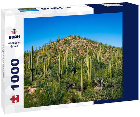 Noah Jigsaw Puzzle Hill covered in cactus in Saguaro national park 1000 pieces