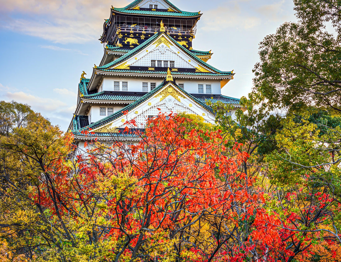 Osaka, Japan at Osaka Castle's main keep during autumn 1000pc Puzzle