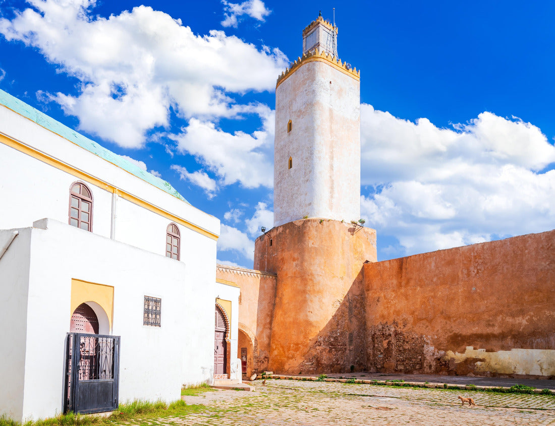 Noah Jigsaw Puzzle El Jadida, Morocco. Great Mosque in portuguesee fortress of Mazagan, North Africa old colonial city 1000 pieces
