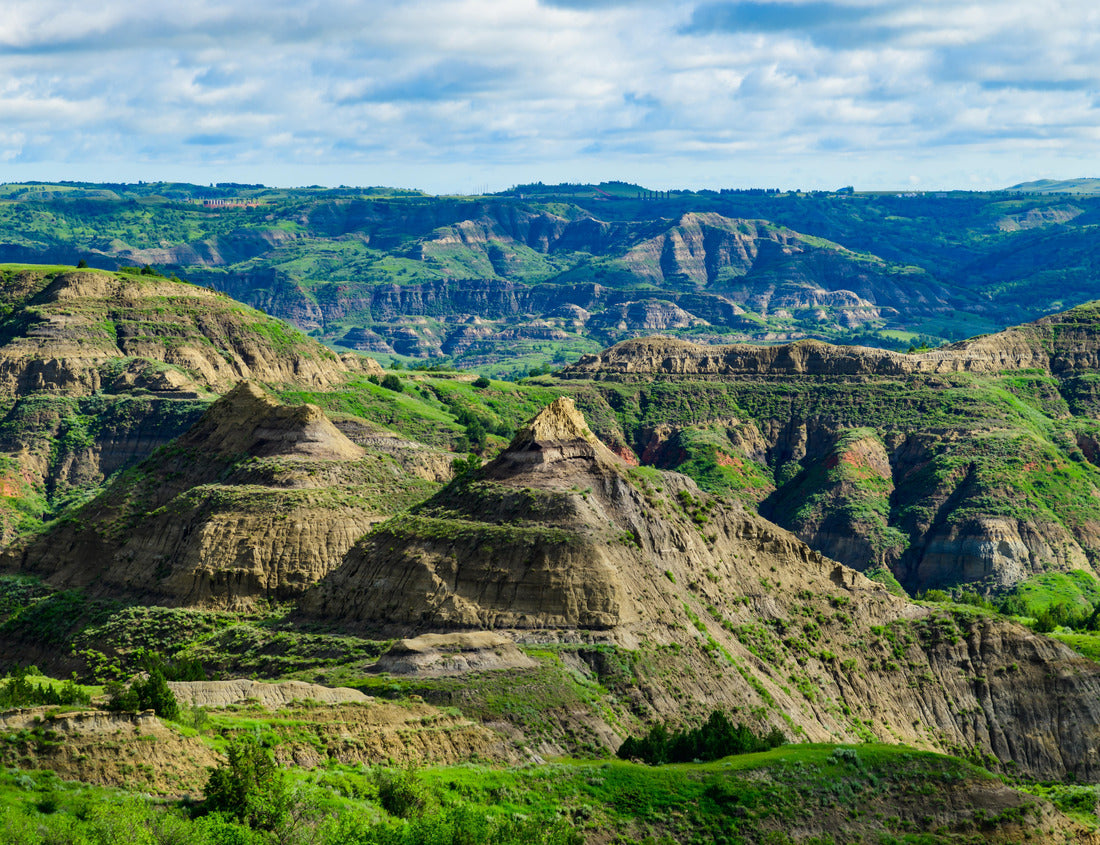 Noah Jigsaw Puzzle Explore the breathtaking natural beauty of the majestic green canyon landscape with rugged terrain, lush greenery, and stunning panoramic views, Little Missouri State Park, North Dakota 1000 pieces