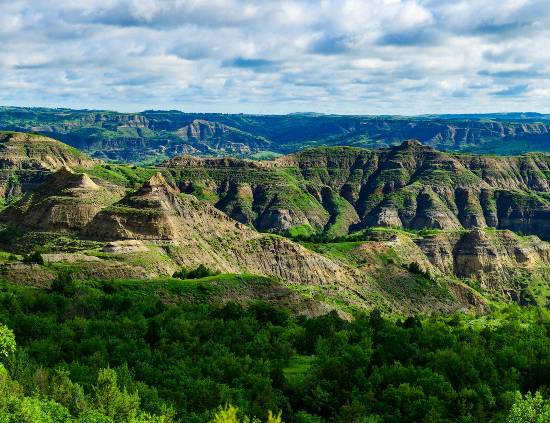 Noah Jigsaw Puzzle Explore the breathtaking natural beauty of the majestic green canyon landscape with rugged terrain, lush greenery, and stunning panoramic views, Little Missouri State Park, North Dakota 1000 pieces